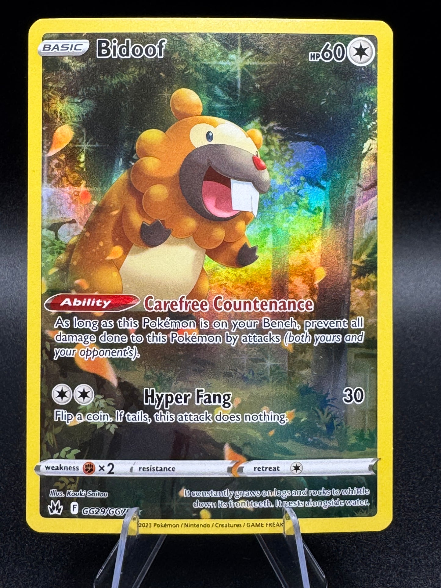 Pokemon TCG - Bidoof - GG29/GG70 - Crown Zenith Galarian Gallery - NM Holo Rare - Single