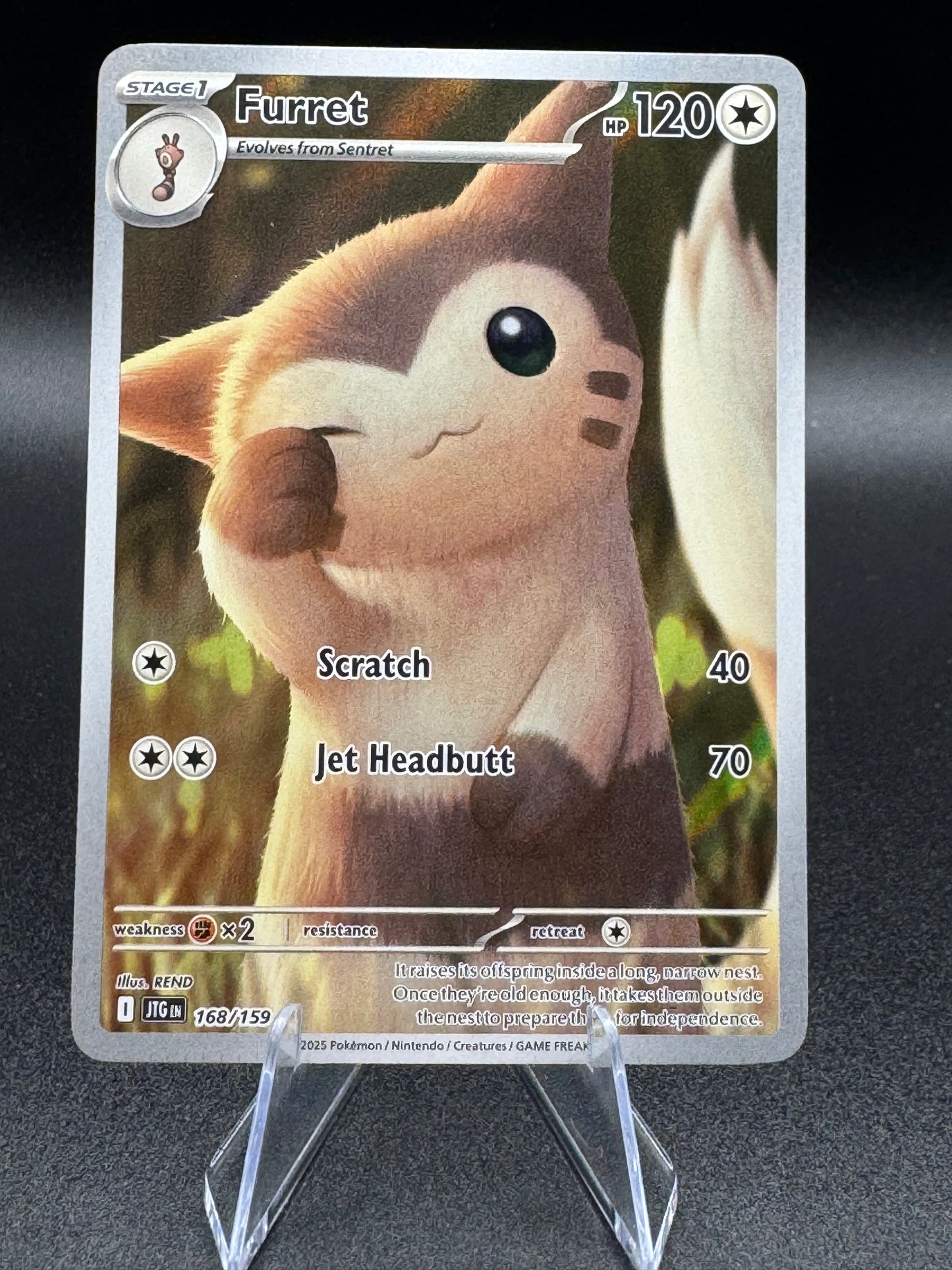 Pokemon TCG Journey Together Furret 168/159 Illustration Rare IR Full Art NM/M