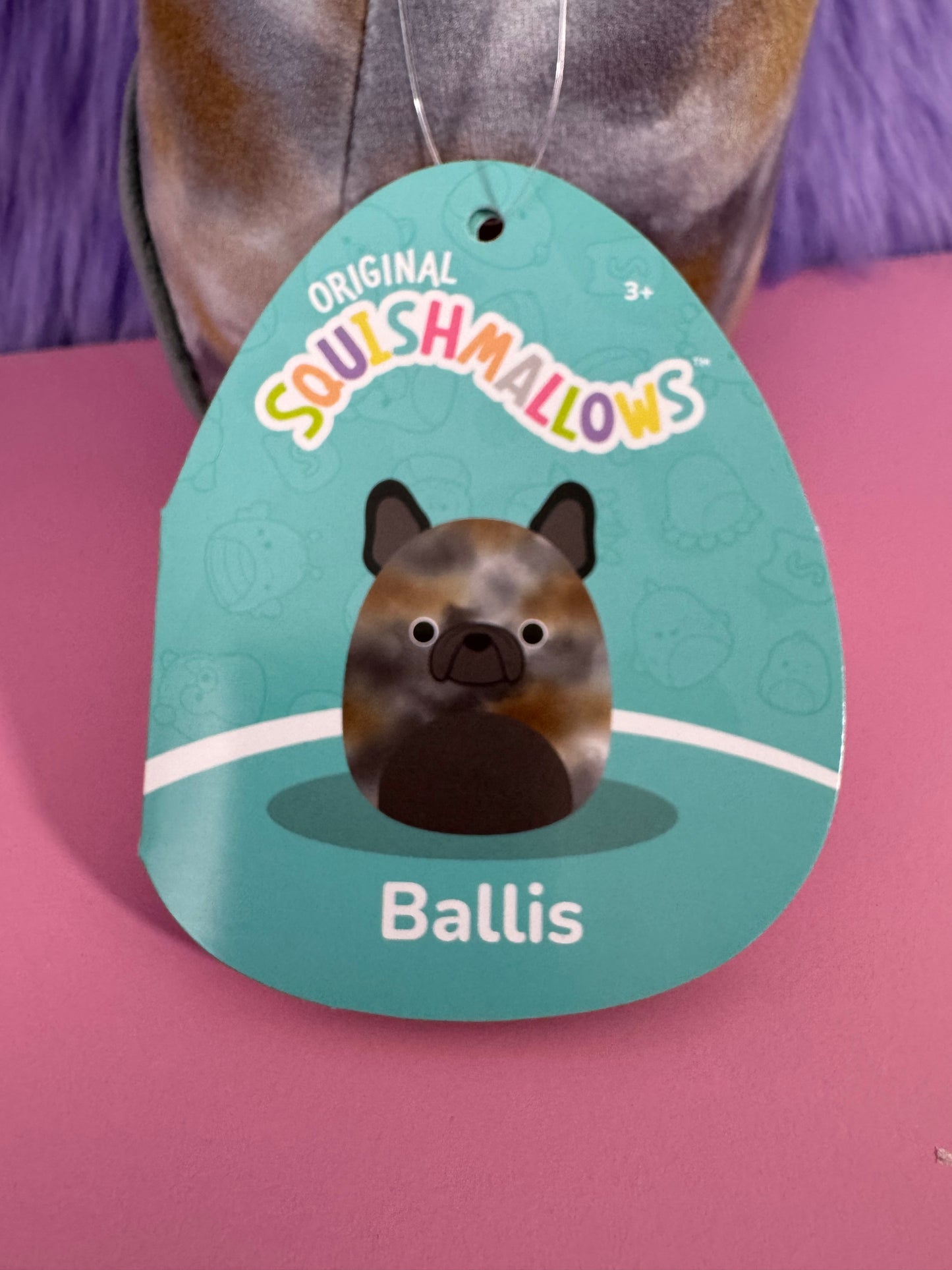Squishmallows 5" Ballis the French Bulldog Plush Toy - Kellytoy