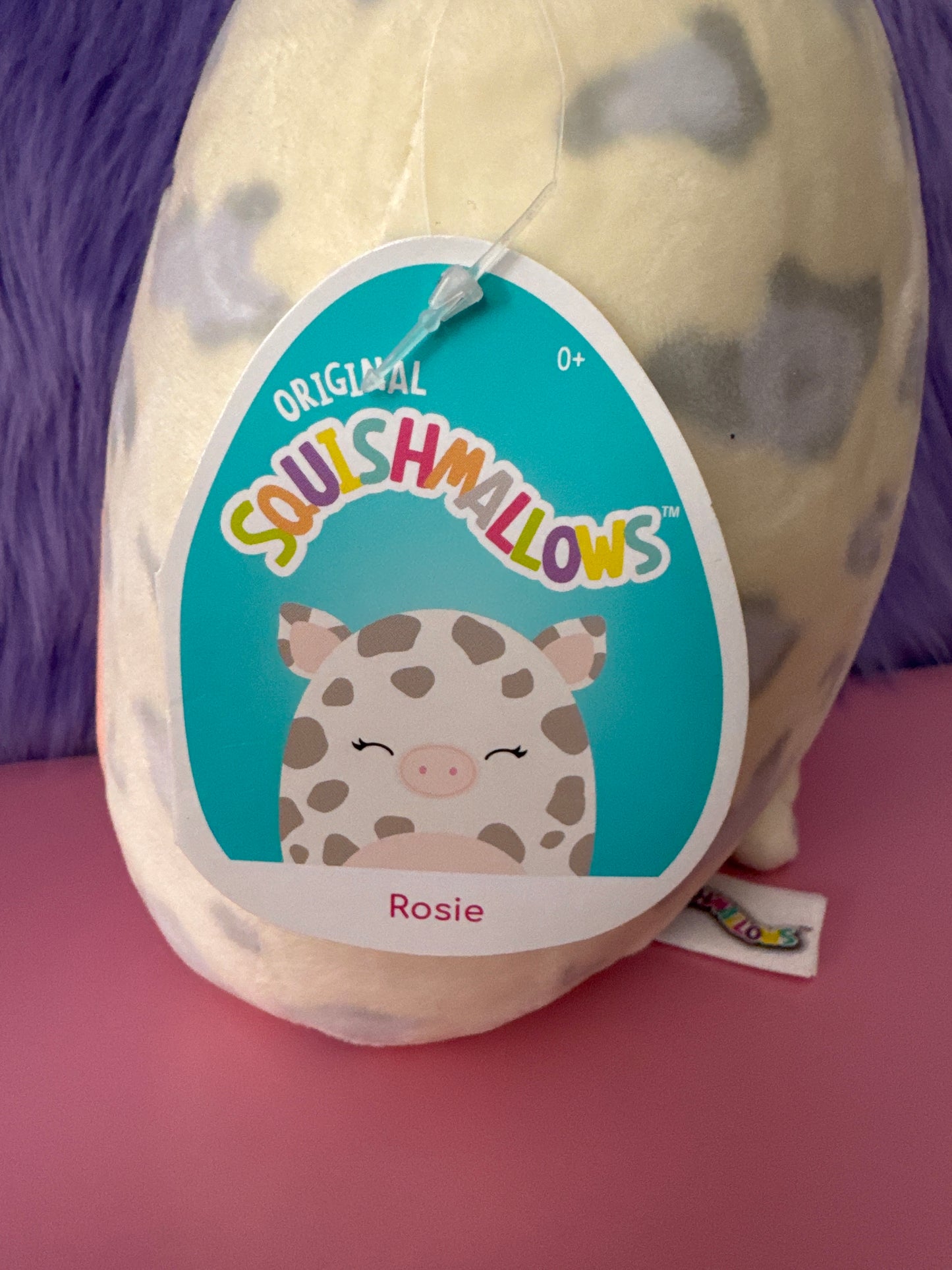 Squishmallows Rosie The Pig 8 inch Plush NWT