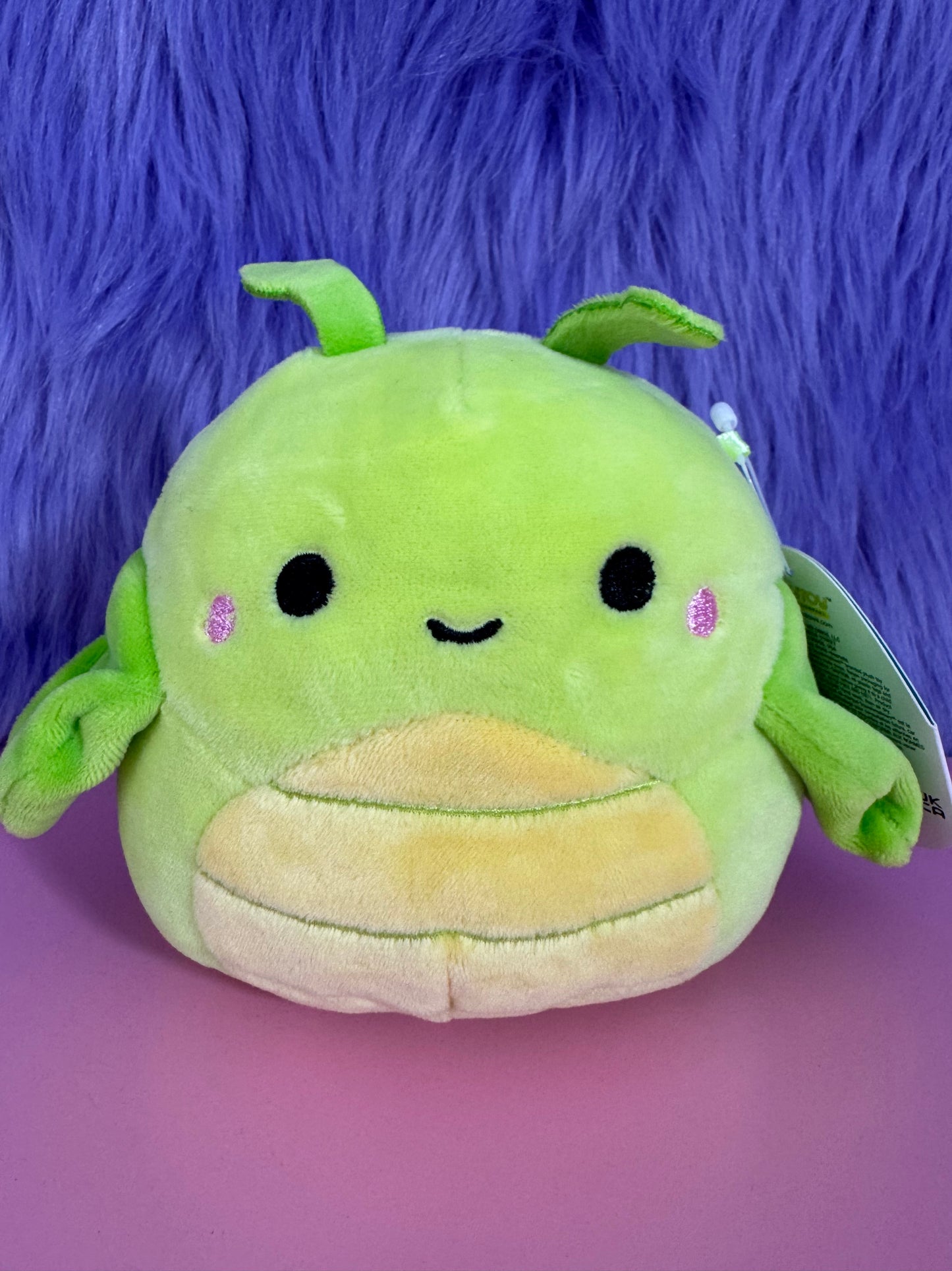 SQUISHMALLOWS Pilar the Green Grasshopper 5” NWT