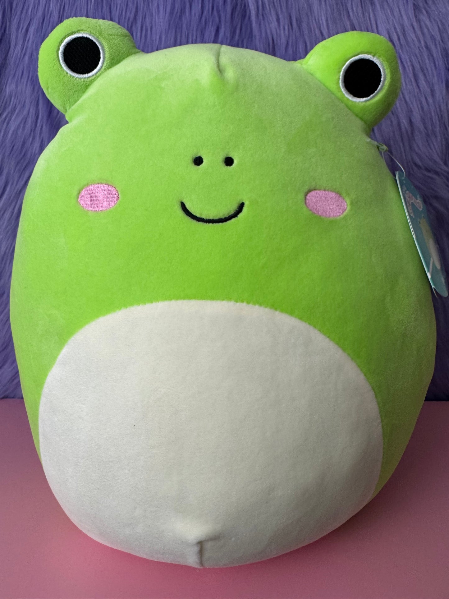 Squishmallows Wendy the Frog 12” Plush Toy NEW NWT