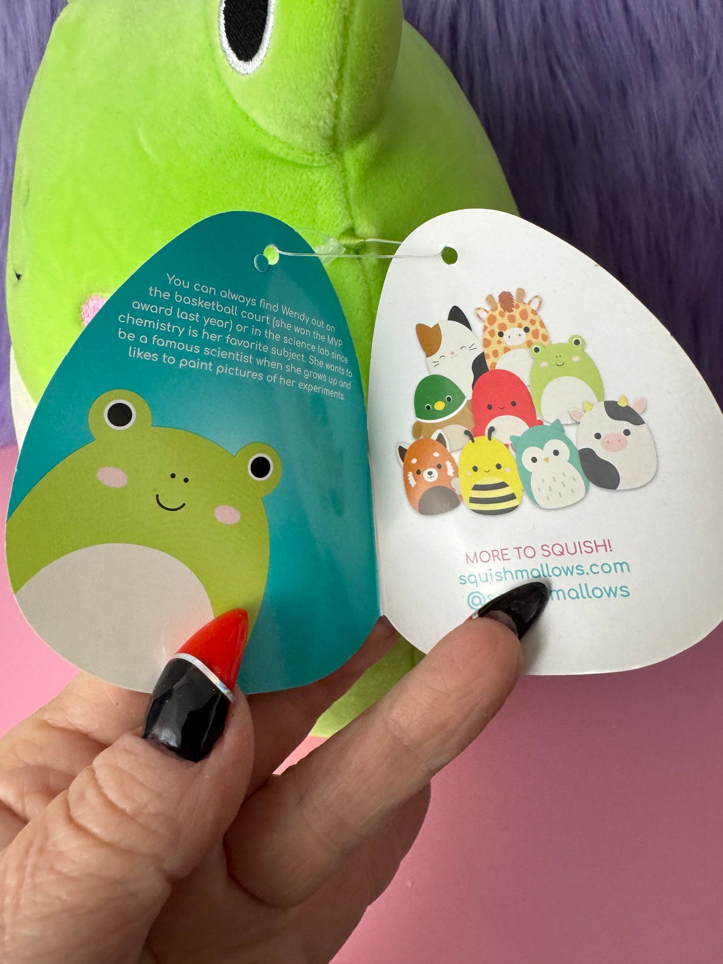Squishmallows Wendy The Frog 8" Plush, ORIGINAL Full 8” Edition, ULTRA RARE, HTF