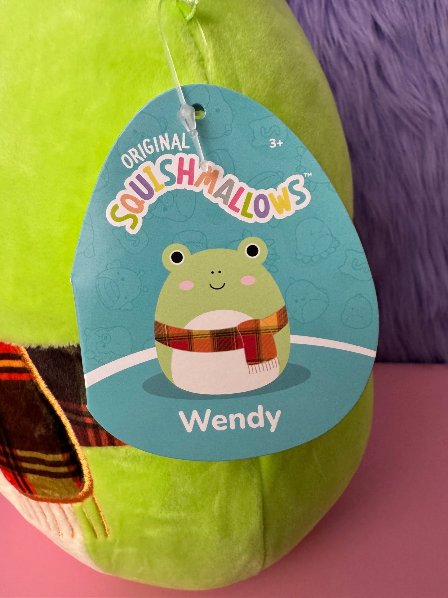 SQUISHMALLOWS 8” Wendy The Green Frog with Plaid Scarf New With Tags NWT