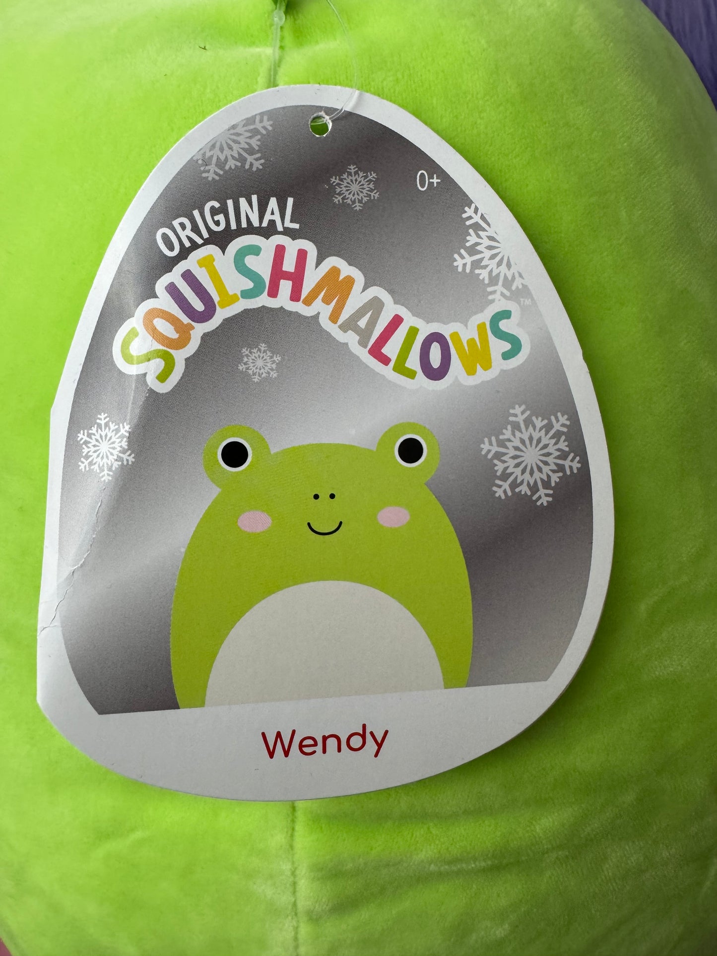 2021 Winter Edition WENDY the Frog 16 inch Squishmallows New With Tags NWT
