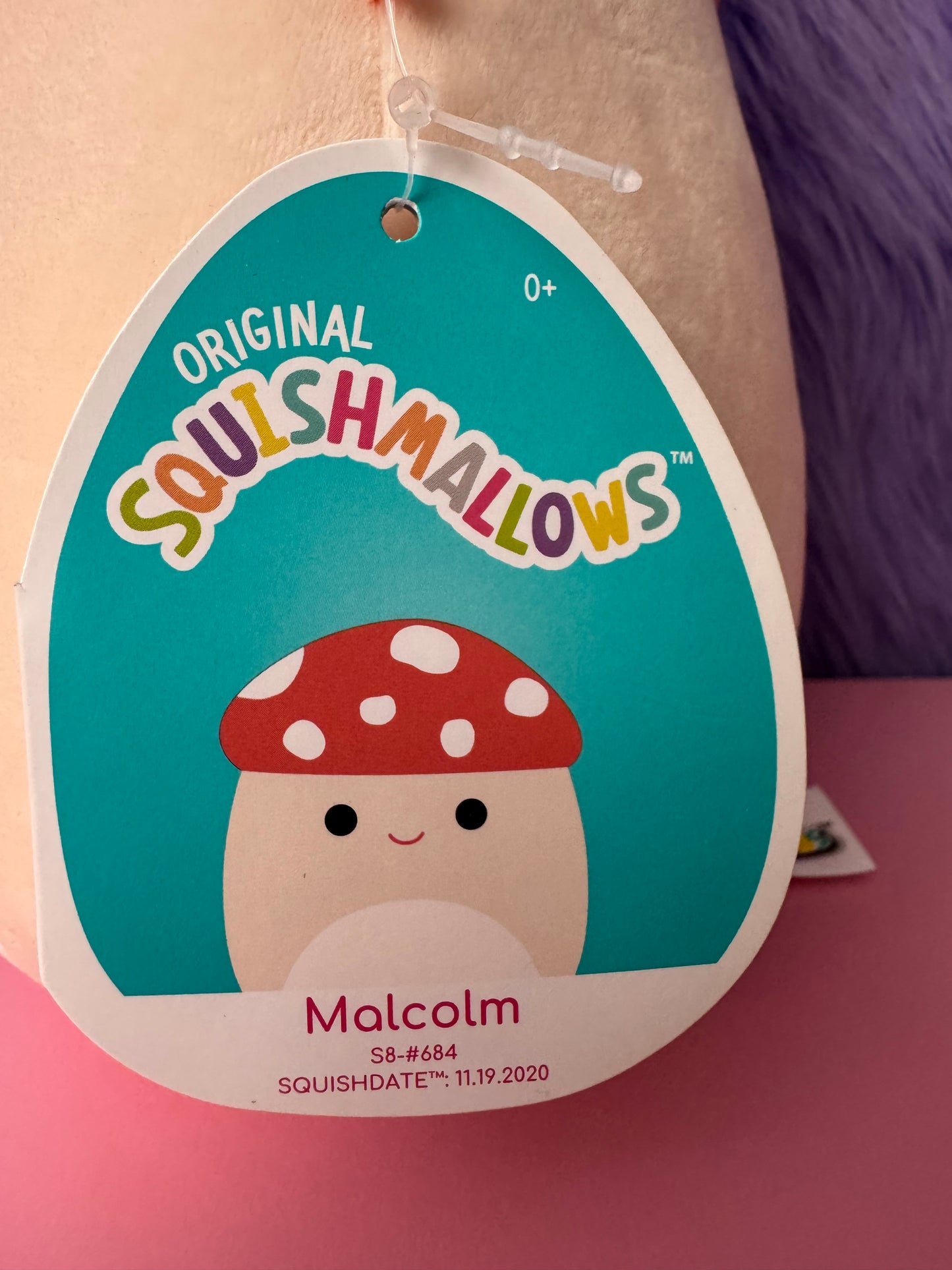 NEW Squishmallow Malcolm Mushroom Soft Toy 8” Red Pink HTF Rare Food Squad BNWT