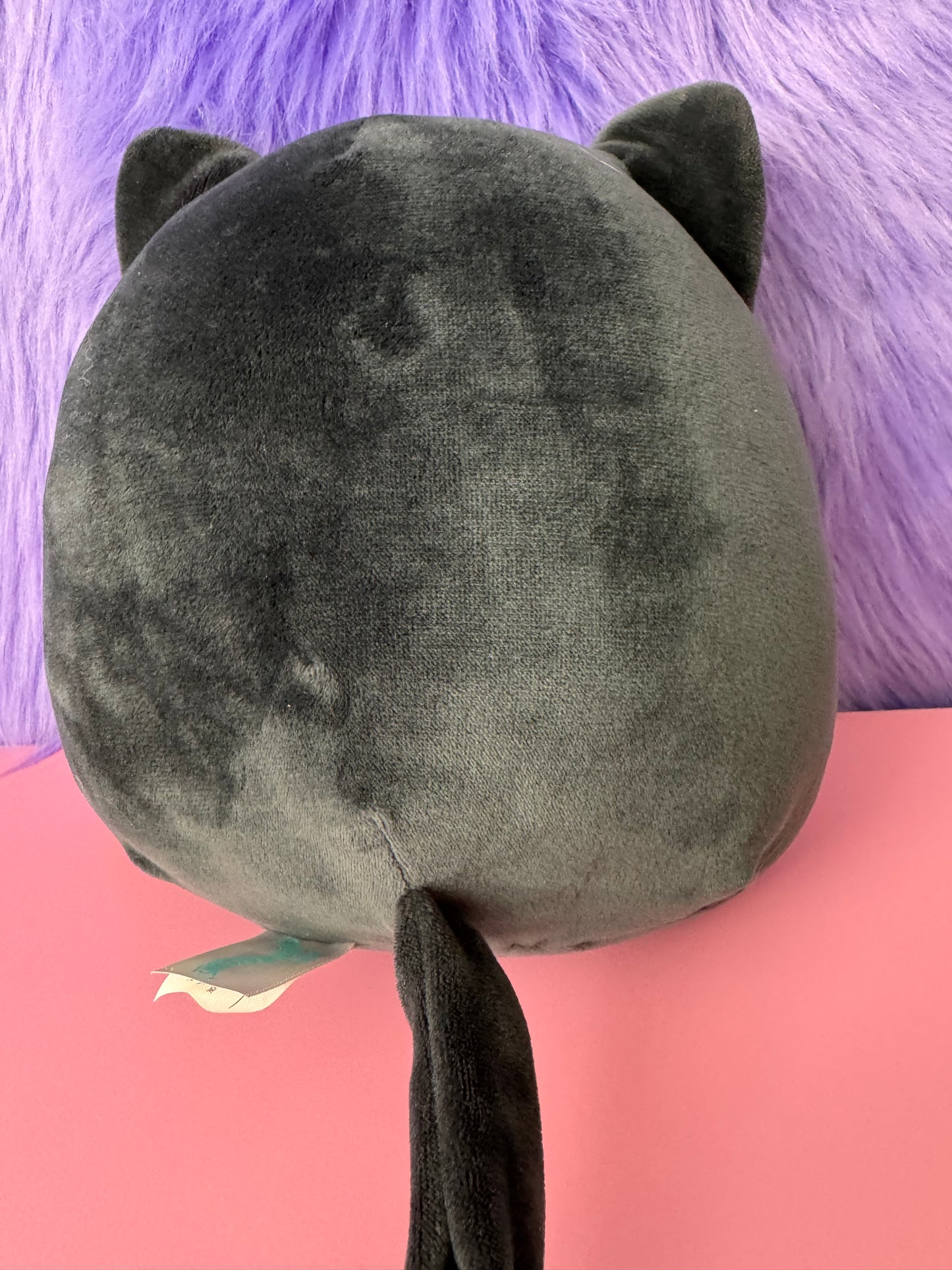 Squishmallow 8” Bambalina Black Kitty Cat Fuzzy Belly Kellytoy Plush Toy NWT