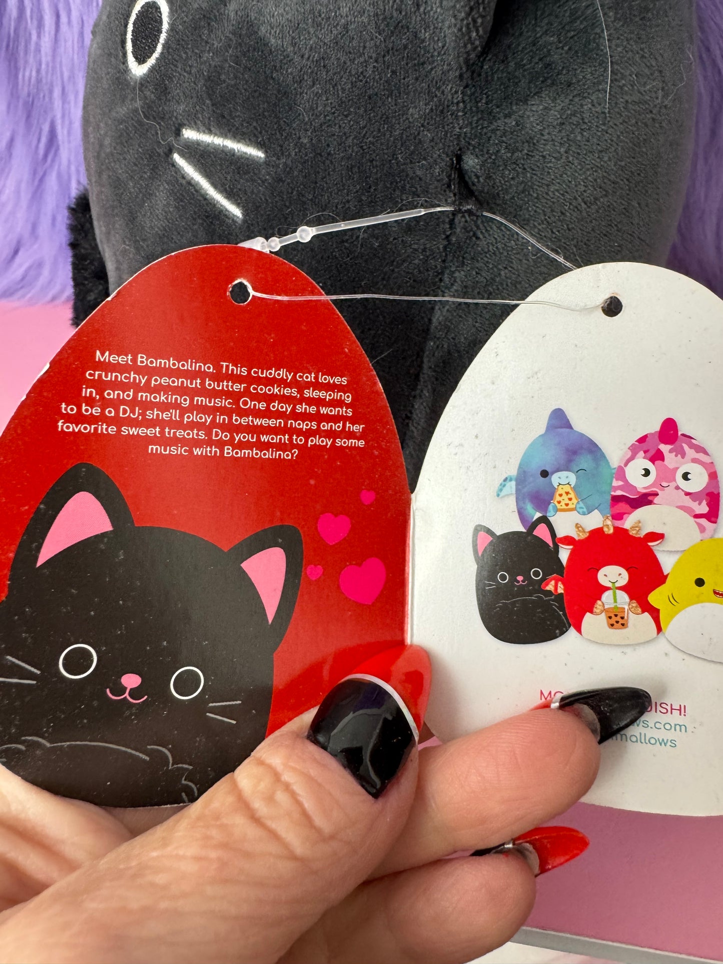 Squishmallow 8” Bambalina Black Kitty Cat Fuzzy Belly Kellytoy Plush Toy NWT