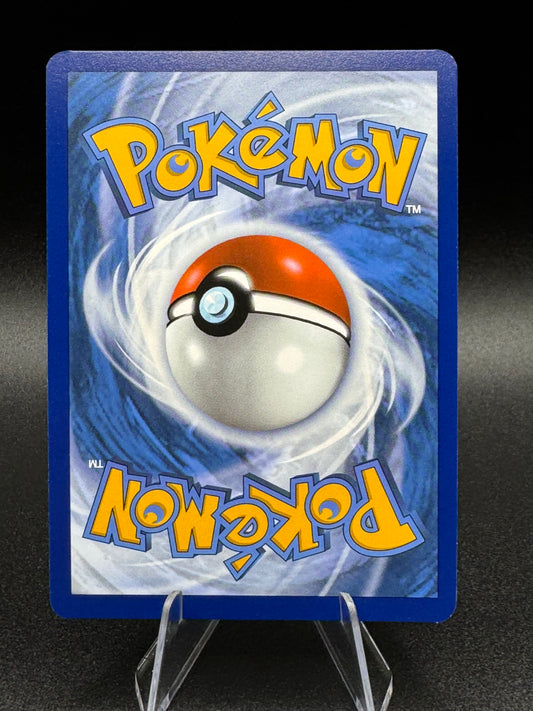 Pokemon TCG Dachsbun ex 067/142 Stellar Crown Double Rare Holo Near Mint/Mint - Single