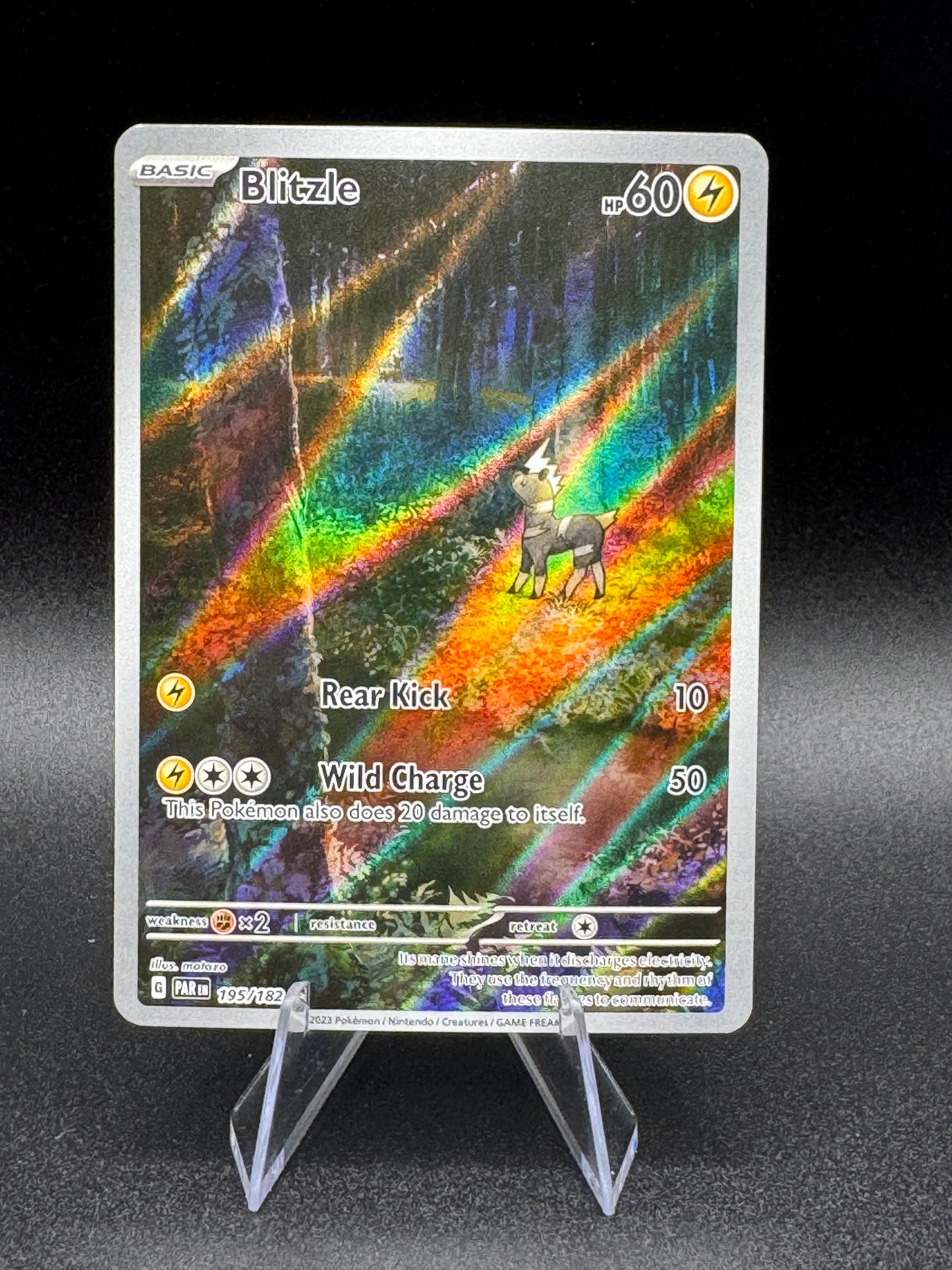 Blitzle 195/182 Paradox Rift Illustration Rare Pokemon TCG NM - Single