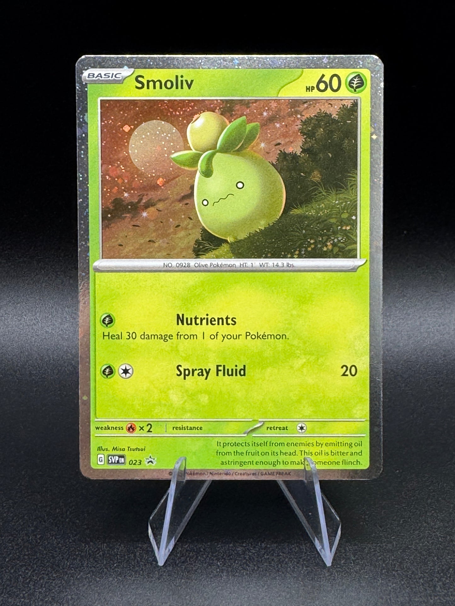 Pokémon TCG Smoliv SVP Black Star Promos SVP023 Promo Cosmos Holo Rare NM - Single