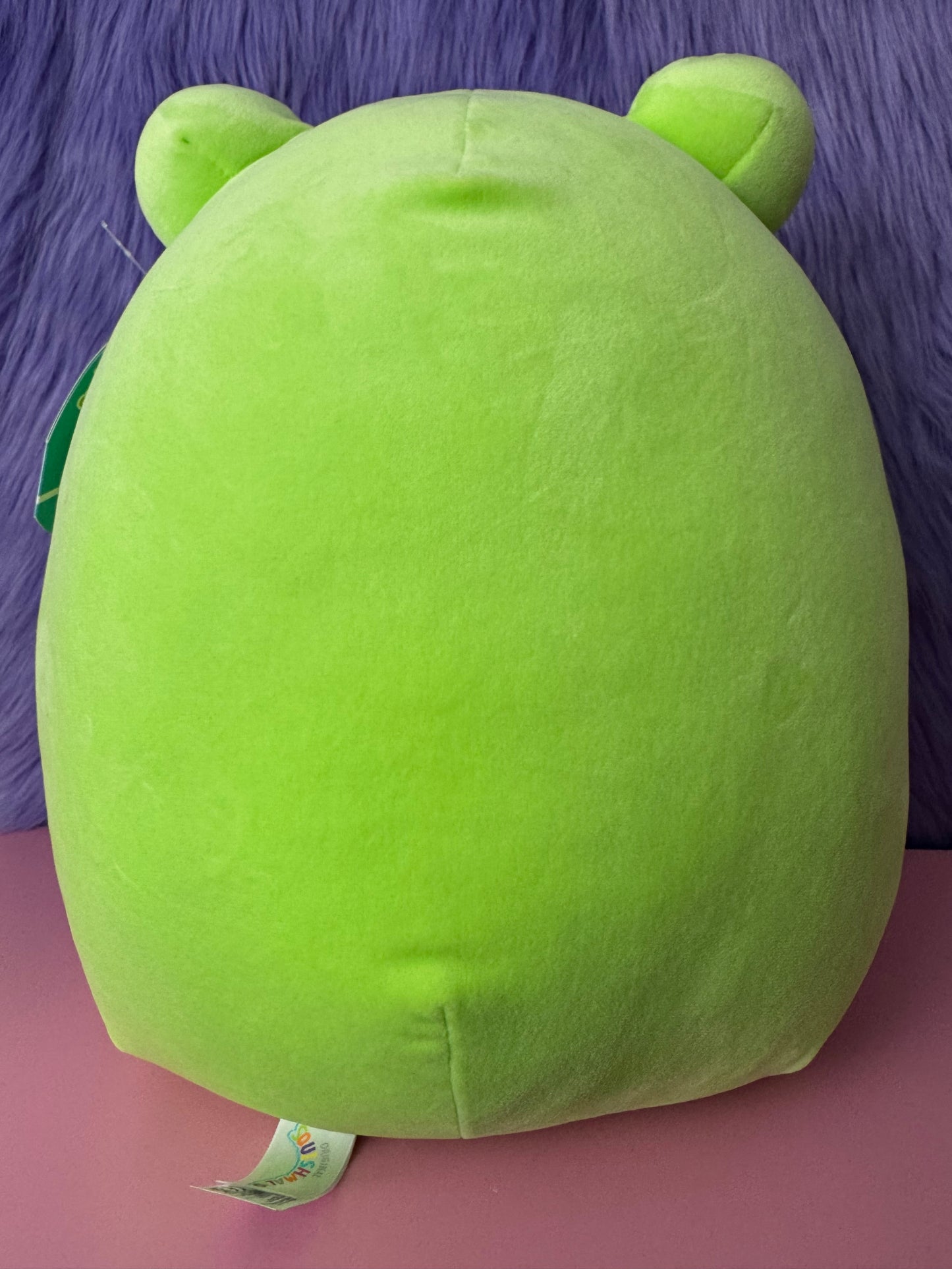 Squishmallows Wendy the Frog 12” Plush Toy NEW NWT