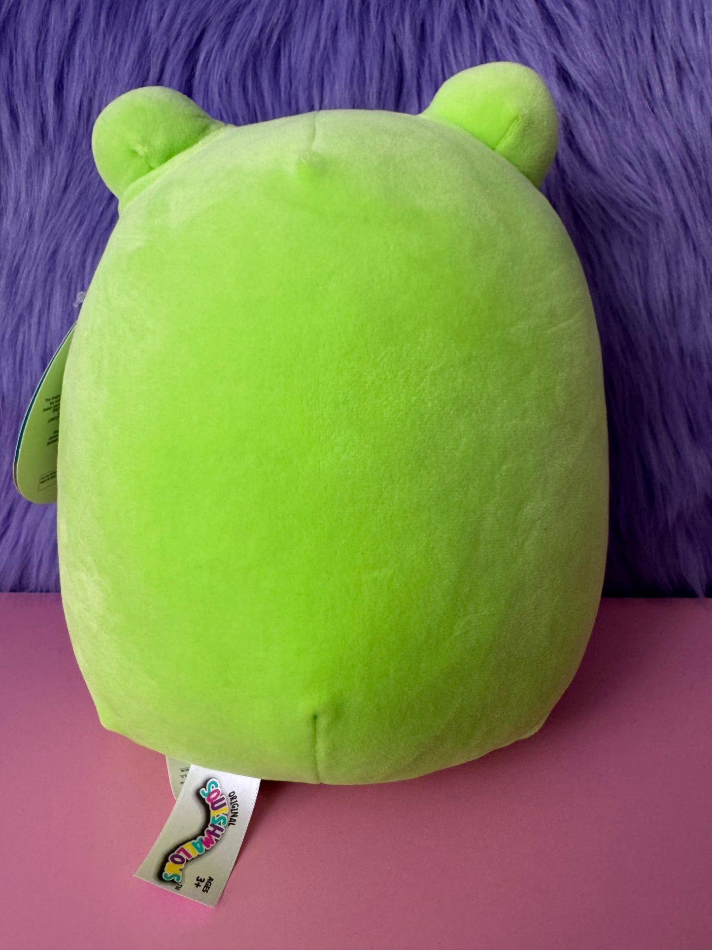 Squishmallows Wendy The Frog 8" Plush, ORIGINAL Full 8” Edition, ULTRA RARE, HTF