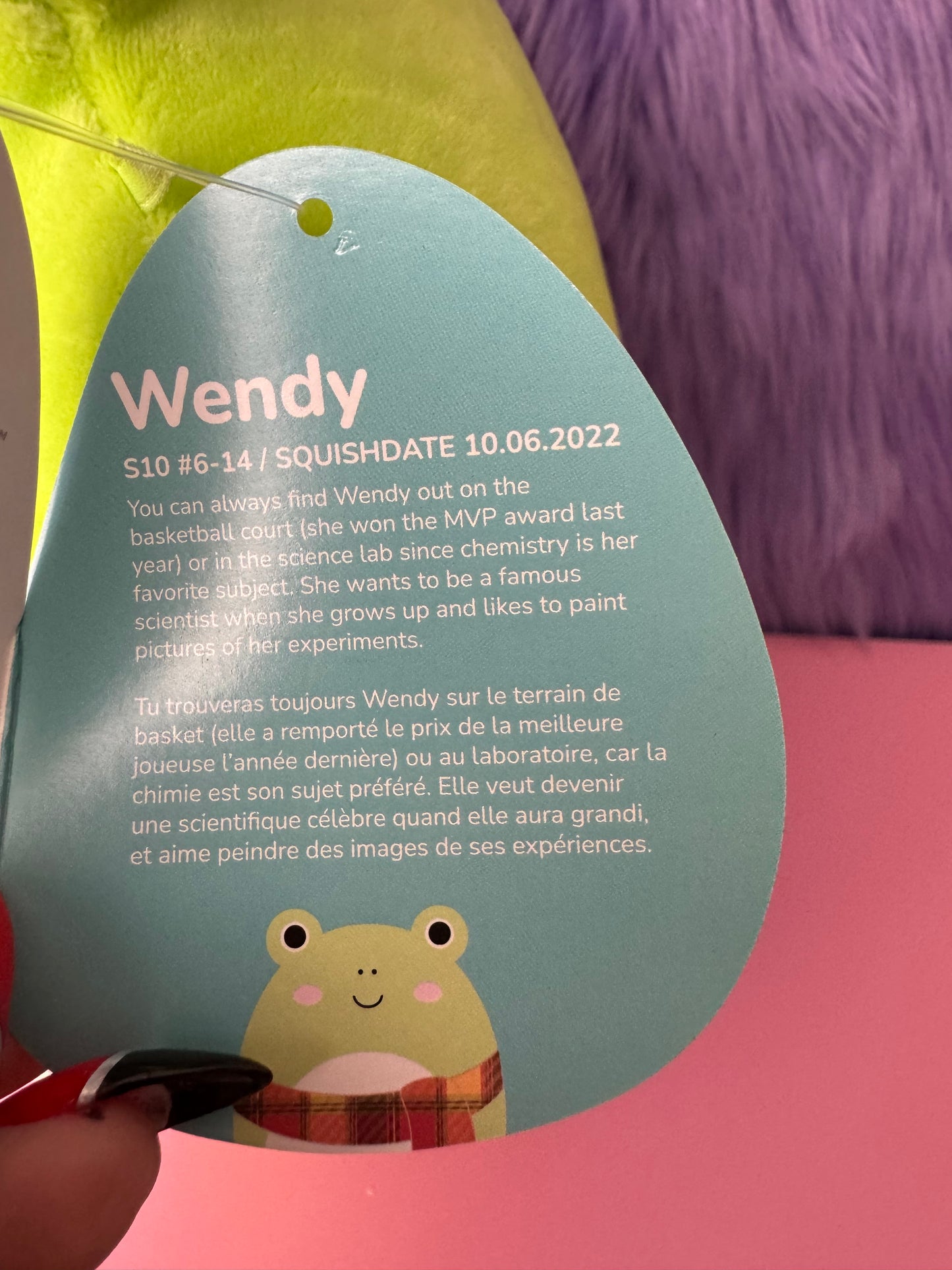 SQUISHMALLOWS 8” Wendy The Green Frog with Plaid Scarf New With Tags NWT