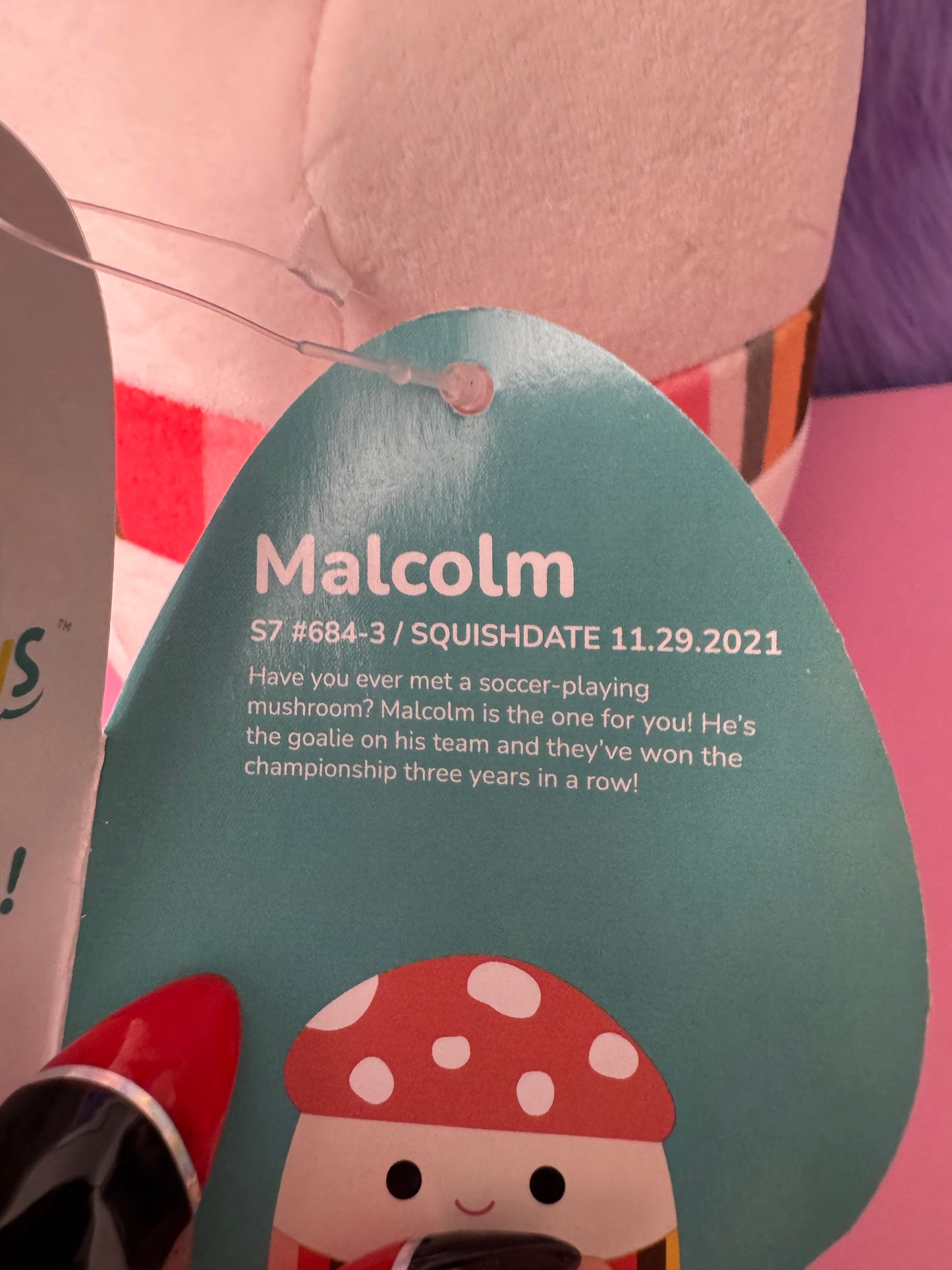 Squishmallows Harvest Squad Malcolm the Mushroom With Autumn Fall Scarf 7" NWT
