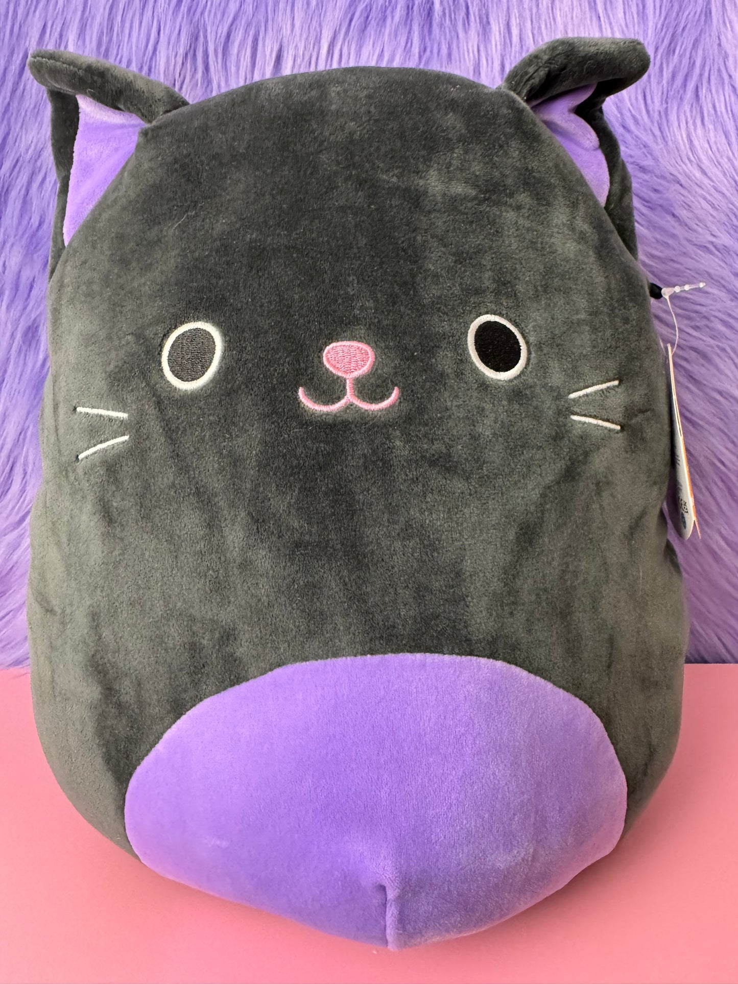 Squishmallow Autumn Cat Plush 12" Kelly Toy Black and Purple Halloween NWT