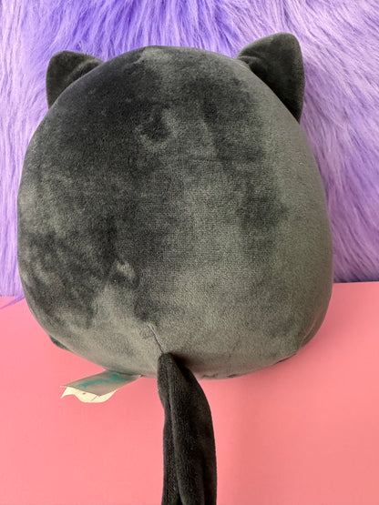 Squishmallow 8” Bambalina Black Kitty Cat Fuzzy Belly Kellytoy Plush Toy NWT