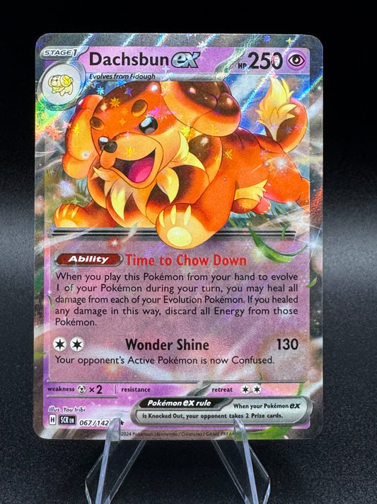 Pokemon TCG Dachsbun ex 067/142 Stellar Crown Double Rare Holo Near Mint/Mint - Single
