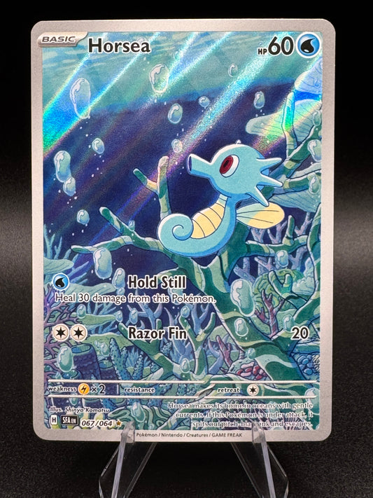 Pokémon TCG Scarlet & Violet Shrouded Fable Horsea 067/064 Illustration Rare NM