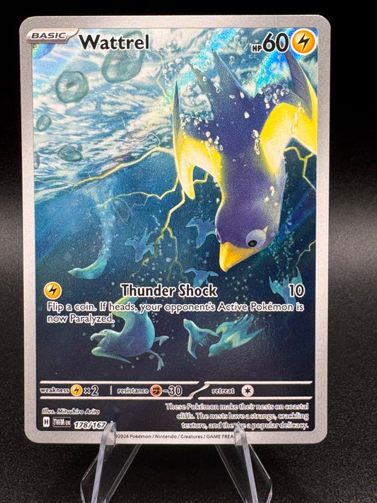 Wattrel 178/167 Illustration Rare Holo Pokemon TCG Twilight Masquerade NM