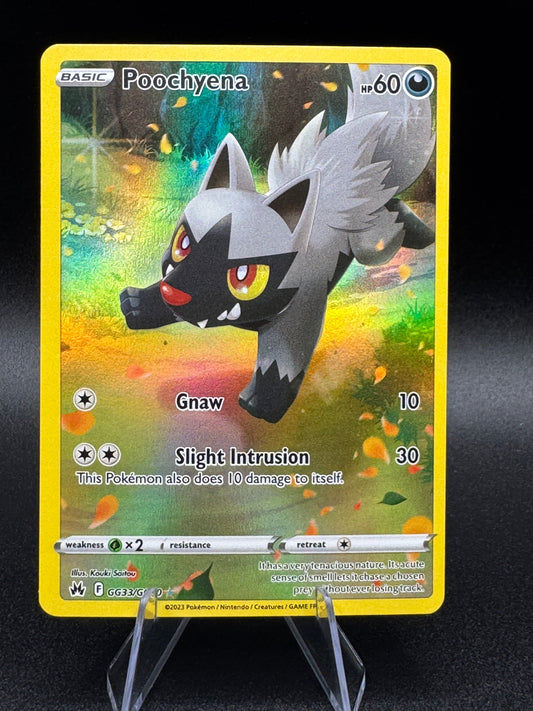 Pokémon TCG Crown Zenith Poochyena GG33/GG70 Full Art Ultra Rare Holo NM/M - Single