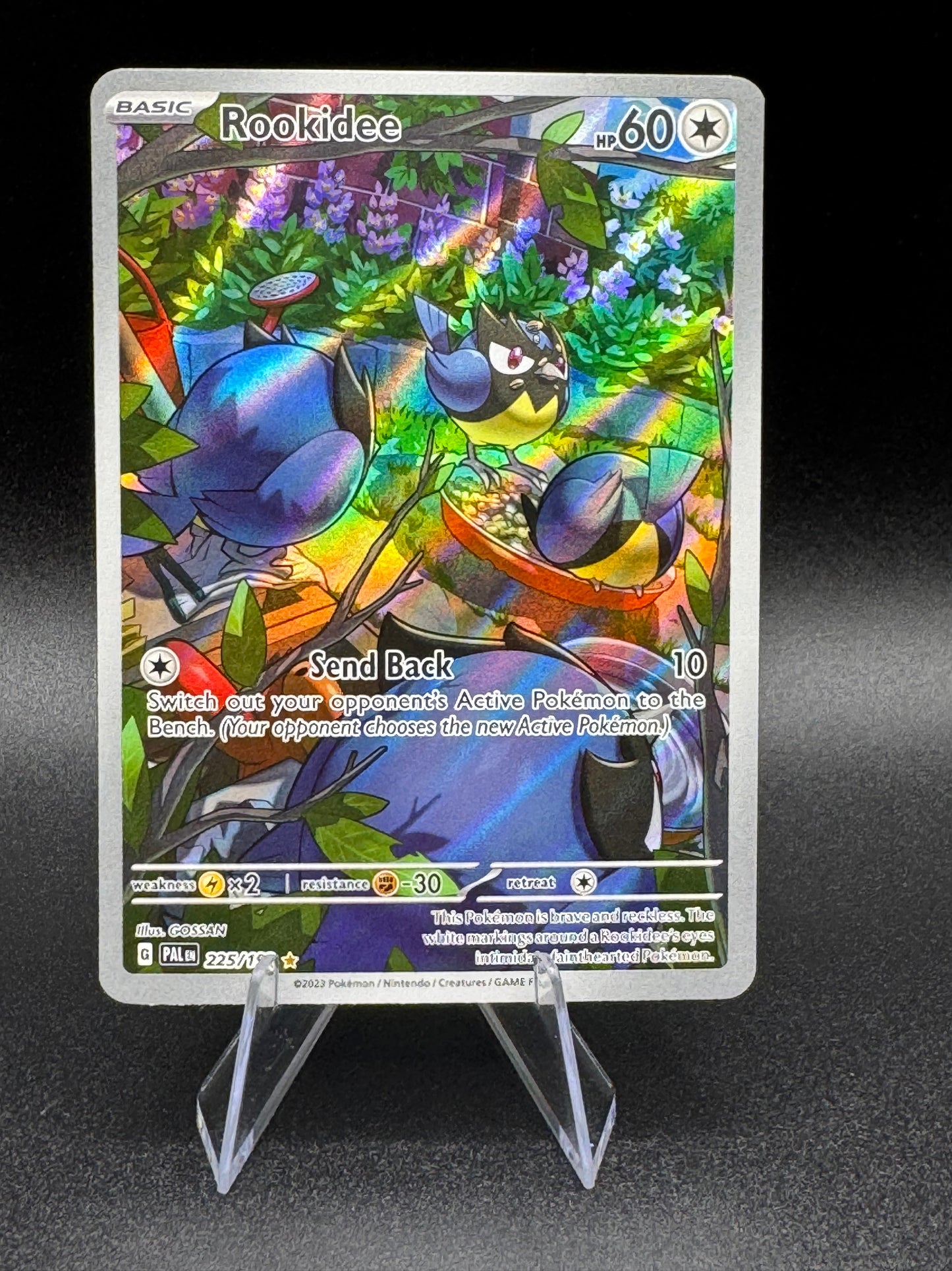 Rookidee 225/193 Sv02: Paldea Evolved Holo (NM) - Single