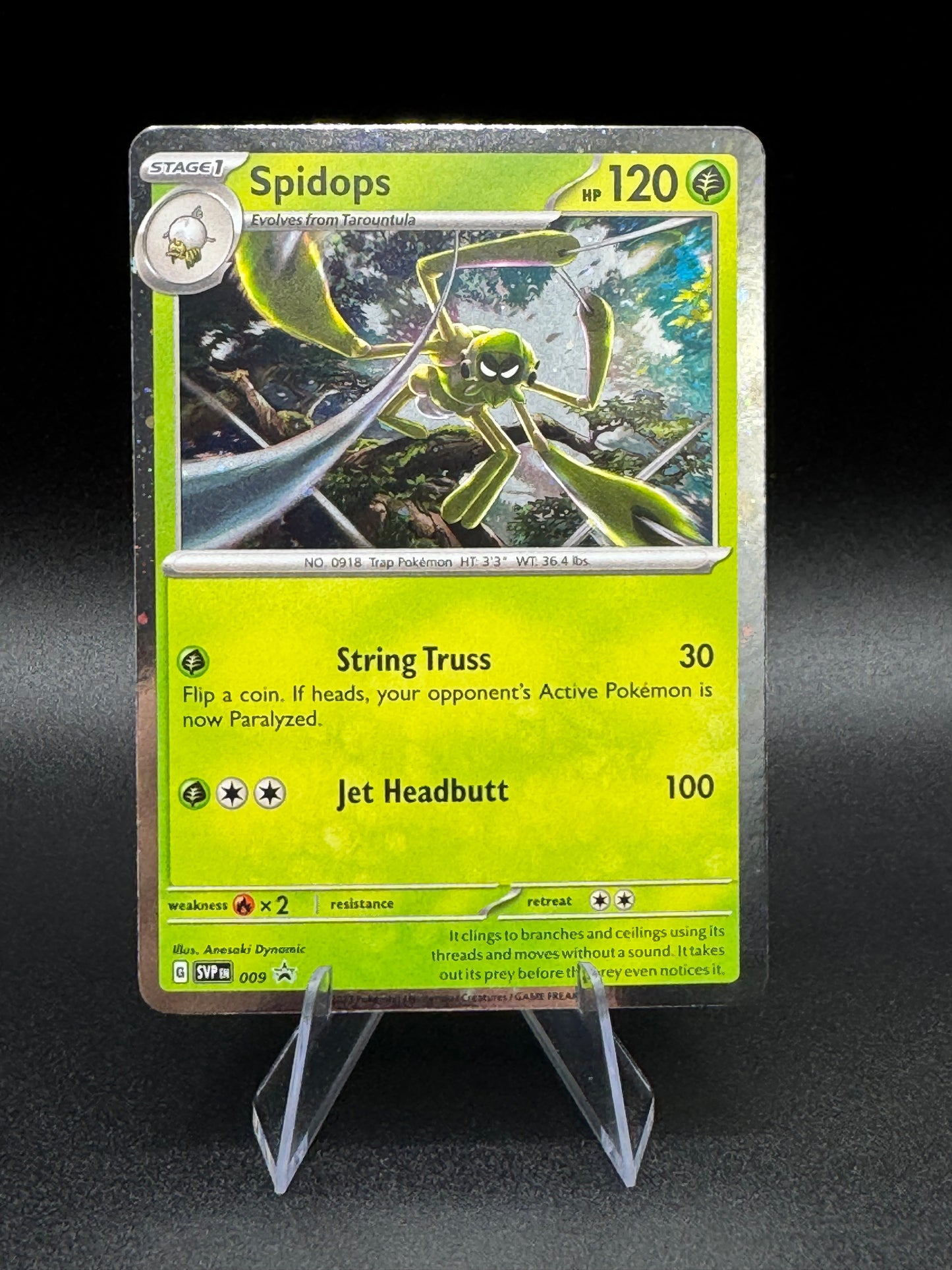Pokemon Spidops SVP009 Scarlet & Violet Cosmos Holo Black Star Promo  TCG NM - Single